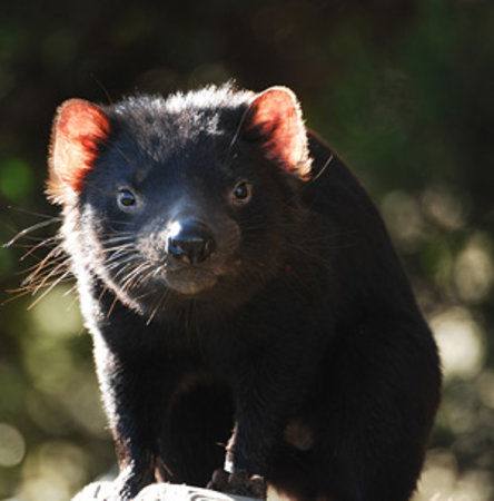 East Coast Natureworld